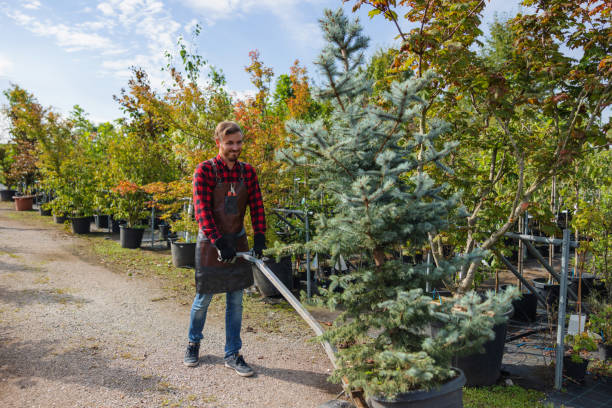 Best Commercial Tree Services  in Oak Grove, SC